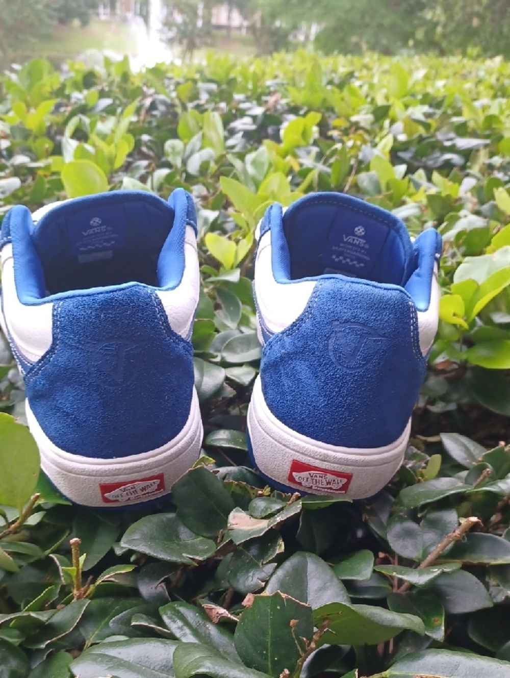 -- Vans Rowan Men’s Navy Blue and White Skate Sneaker Size 11.5 - Picture 7 of 10